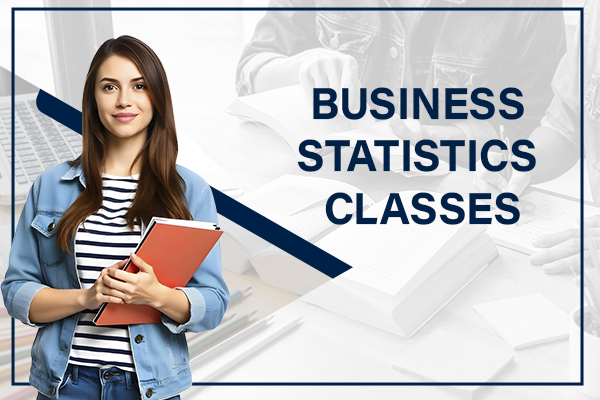 Business Statistics Coaching